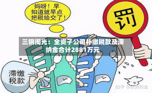 三钢闽光:全资子公司补缴税款及滞纳金合计2881万元-第1张图片
